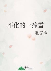 不化的一捧雪TXT百度免费阅读