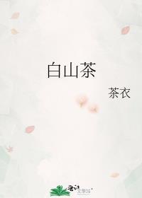 白山茶读不懂白玫瑰歌曲