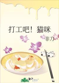 打工吧猫咪TXT