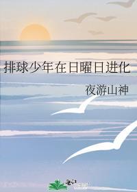 排球少年在日曜日进化格格党