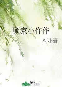 顾家系列的