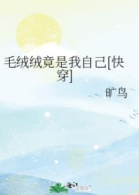 毛绒绒言情