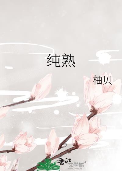 纯熟什么意思