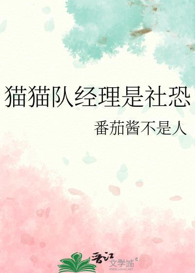 猫猫队伍