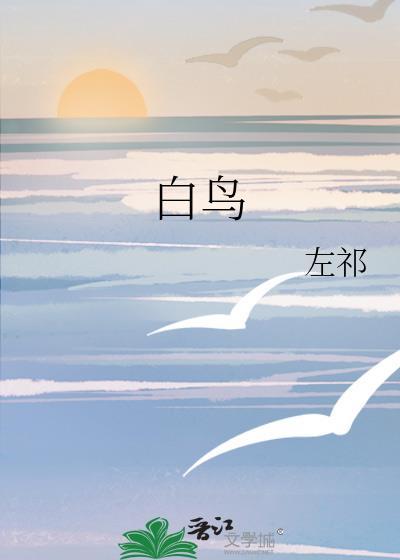 白鸟过河滩
