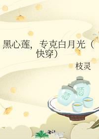 黑心莲进化白月光