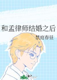 和孟律师结婚之后全文阅读