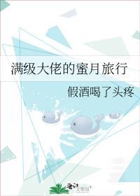 满级大佬的蜜月旅行