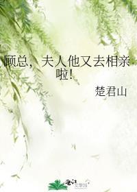 顾总，夫人他又去相亲啦！