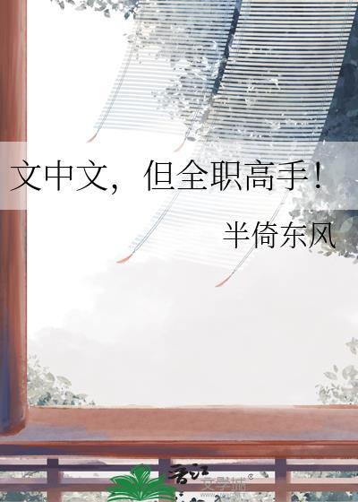 文中文，但全职高手！