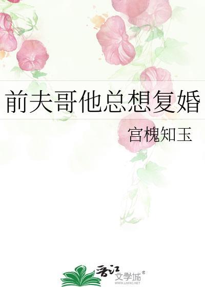 前夫哥他总想复婚