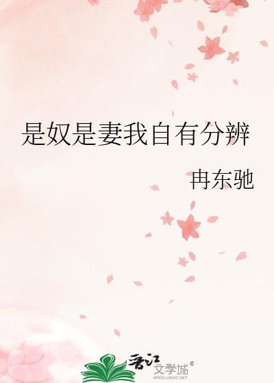 是奴是妻我自有分辨