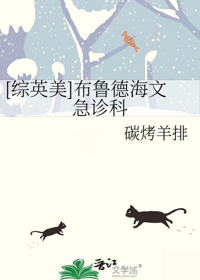 [综英美]布鲁德海文急诊科